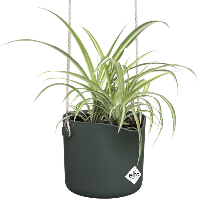 b.for swing 18cm leaf green